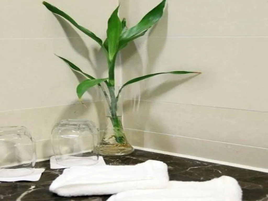Pae Hotel Suzhou Jinjihu Industrial Park Central Business District  Suzhou (Jiangsu)